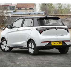 Big Space Electric Car Joy 01 Range Up To 335 Km High Speed 4-Seater Electric