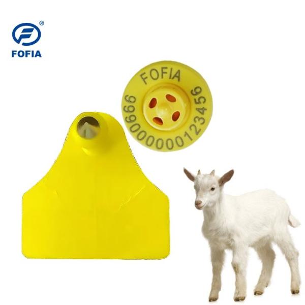 Practical Sheep Ear Tags for Streamlined Livestock Identification and Record