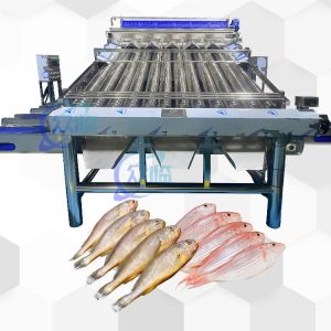 China Automatic Fish Classify Machine With 12 Roller Automatic Fish Classifier For 4-5 Sizes on sale China Automatic Fish Classify Machine With 12 Roller Automatic Fish Classifier For 4-5 Sizes on sale