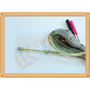 Veterinary Esophageal Human Temperature Sensor Relationship With Edam