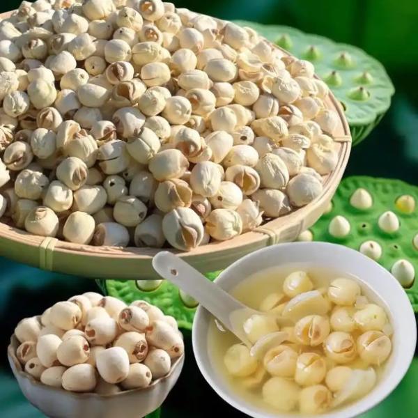 Quality Pure Handmade White Lotus Seed Without Sulfur Fumigation Chinese Herbal Medicines wholesale