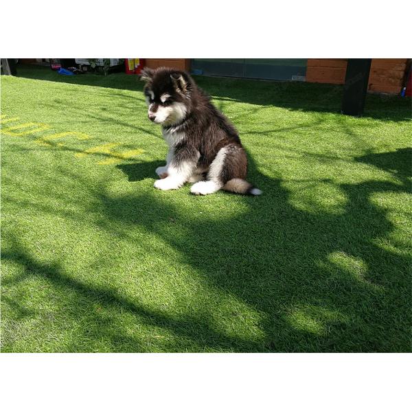 High Standard Artificial Grass Turf In Green With Brown 4-Tone Color Synthetic