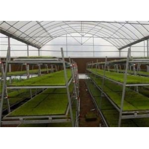Custom Shaped Glass Seedling Greenhouse / Nursery Bed Breeding / Movable Seedbed