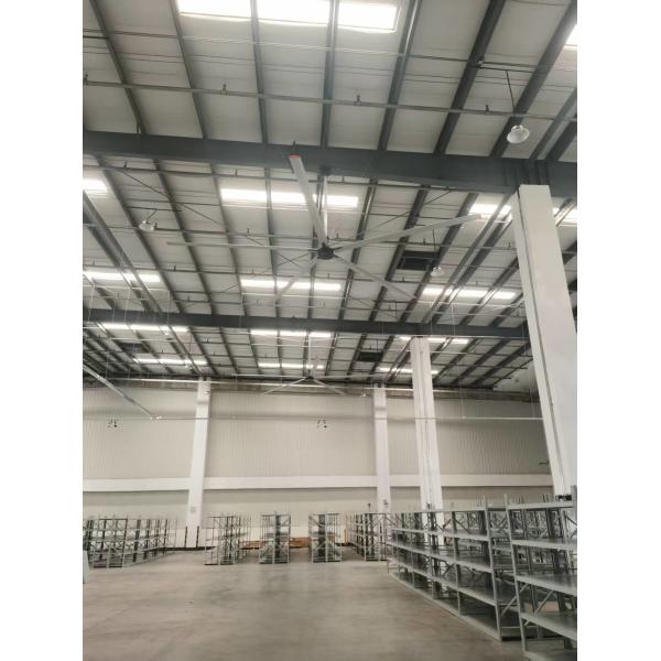 Quality HVLS Industrial Ceiling Fans for Cattle Farm Cooling and Ventilation wholesale