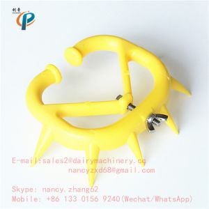 Calf weaner , Weaning Paddle , Weaning flaps, Calf Weaning Ring , plastic cow