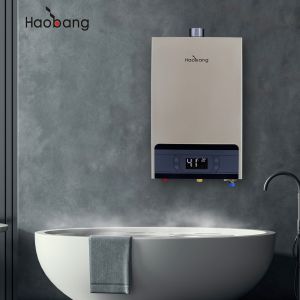 China Optional Protection Forced Exhaust Gas Water Heater With Oxygen Free Copper Heat Exchanger And ±0.5 C Water Temperature Deviation on sale