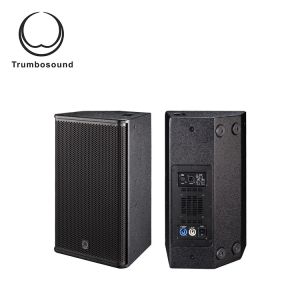 10 inch active full range loudspeaker two way loudspeaker Multifunctional