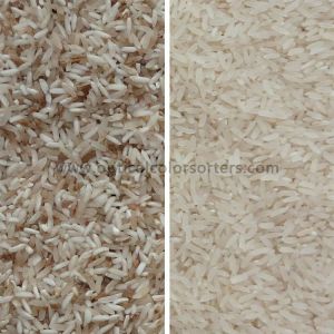 Advanced CCD Sensor Technology NEWBELT CCD Rice Sorting Machine