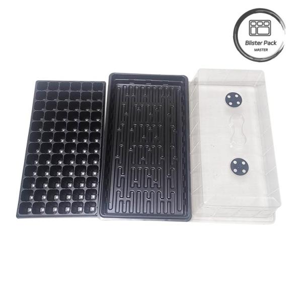 Quality Economical Plastic Seedling Trays For Tomatoes Efficient Germination System For Seed Starters wholesale