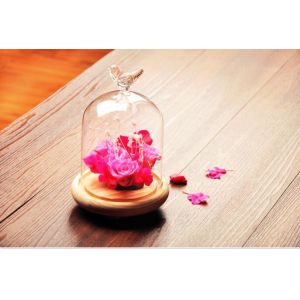 Cheap glass dome for display decorations with base wood for sale