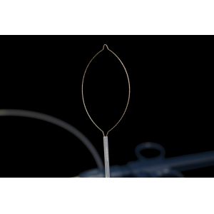 Convenient Using Polypectomy Snare Instrument With 3 Years Shelf Life