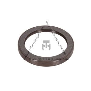 Cheap Rot.shaft lip seal 04502202 04253372 0450 2202 0425 3372 4502202 4253372 for Deutz TCD4.1 Engine for sale