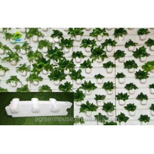 Customized Indoor Vertical Soilless Hydroponic System For Cucumber