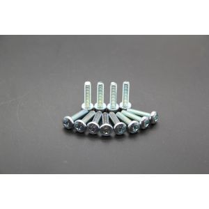 Hexalobular Socket Pan Head Screw M8X30