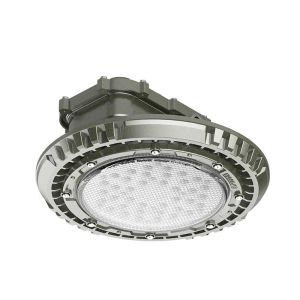 10000lm Cleanable Rust Resistant Explosion Proof Led Flood Light In Hazardous