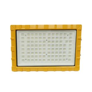 Explosion Proof Emergency Exit Lights 10W-100W, IP65-67 Waterproof, Low Voltage