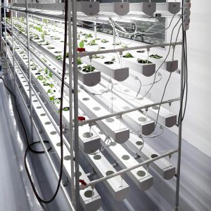 Agriculture Farming Pipe PVC Square Soilless Hydroponic NFT Growing Systems For