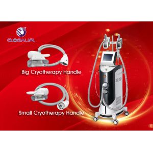 40KHZ Cryolipolysis Body Slimming Machine / Fat Removal Rf Cavitation Machine