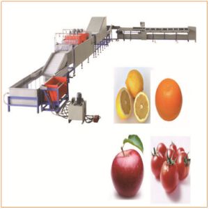 Citrus Fruit Tomato Sorter Machine And Vegetable Washer Machine