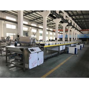 Single Depositor 200kg Chocolate Chips Depositing Machine