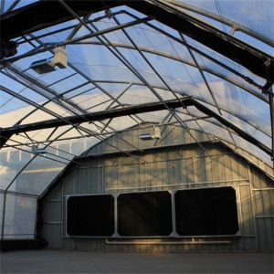 Experience Optimal Growth with 5M Greenhouse Light Deprivation and Automated