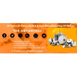 Faradyi Customization High Quality 10kw 800watt Permanent Magnet Brushless DC