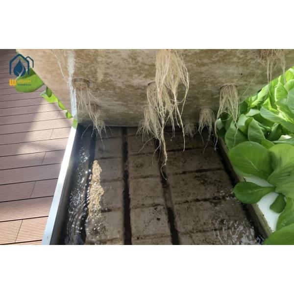 Quality Agricultural Ebb And Flow Rolling Benches Movable Nursery Seedling Trays wholesale