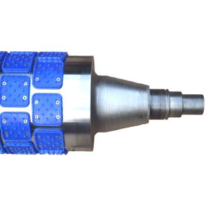 SIEMENS PLC Rotary Cutter Hard Biscuit Production Line Stainless Steel