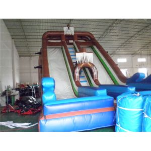 Pirate Inflatable Slide (CYSL-05)