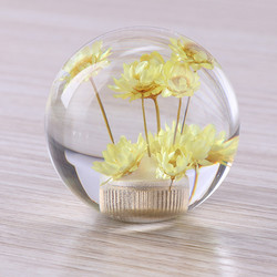 Custom design logo car gear shift knobs crystal gear shift knob with dry flower