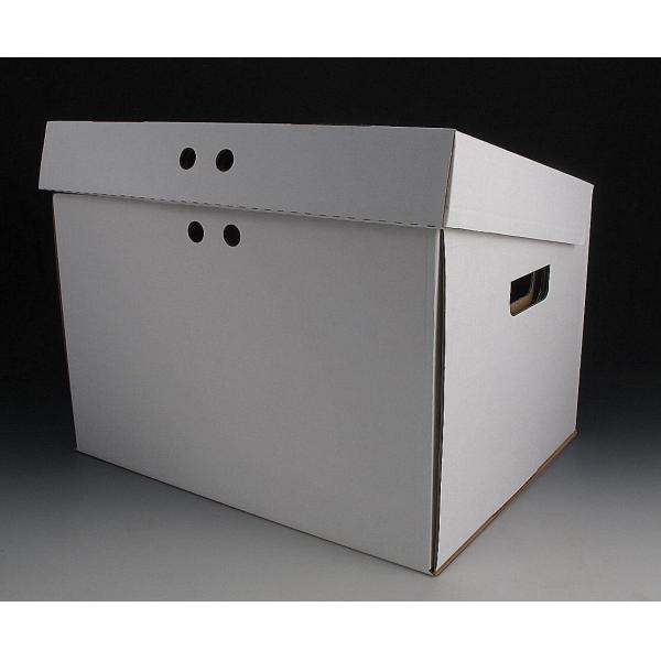 Quality Simple & fashionable new carton files boxes wholesale