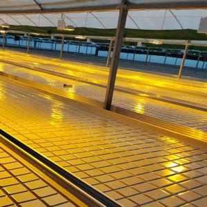 Practical Customizable Greenhouse Rolling Tables Movable Design Pc Sheet Cover