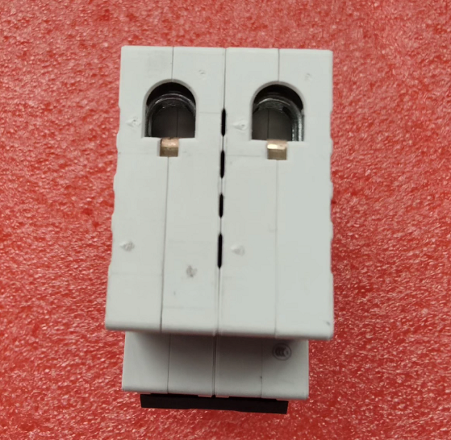 ABB SH202 Miniature Circuit Breaker MCB 2-Pole with 10 kA Breaking Capacity IEC