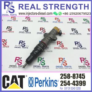 Common Rail Inyectores Diesel Engine spare parts 258-8745 For Caterpillar 324D
