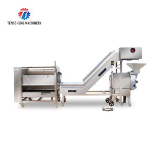 Roller washing and cutting production line Fruit Vegetable FOOD processing