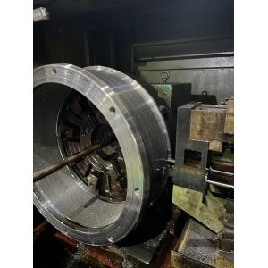 Cost Performance Granular Pellet Mill Type Tailored Solutions for Famsun K15