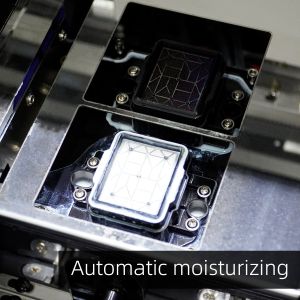 45cm DTF Print Machine Dual Heads Front Arc Plate Heating For T Shirt