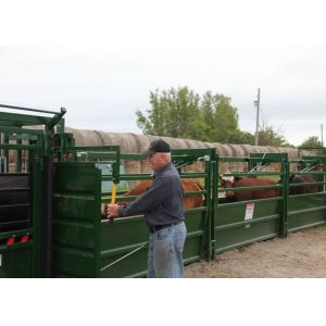 Easy Access Portable Cattle Alleyway , 14 Gauge Sheet Adjustable Cattle Alley
