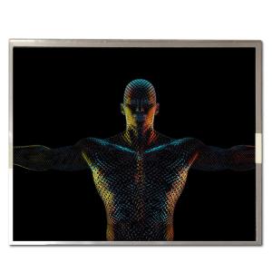 Cheap 12.1 inch G121AGE-L03 Innolux LCD Screen with 30 pin LVDS Display Interface 800*600 Resolution for sale