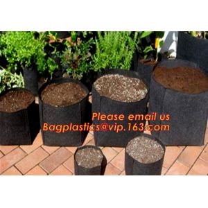 fabric pots grow bag felt garden bag with handle,Hydroponic Grow Bag 1 Gallon