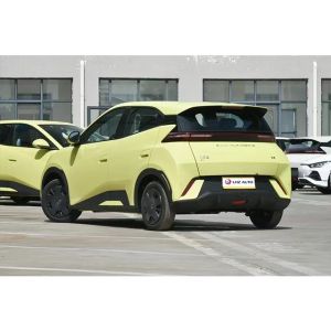 405KM Long Range Energy Car EV BYD Seagull 2024 Flying Edition Battery Capacity