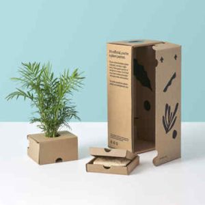 Custom Corrugated Cardboard Plant Shipping Box Packaging Plant Boxes For Plants