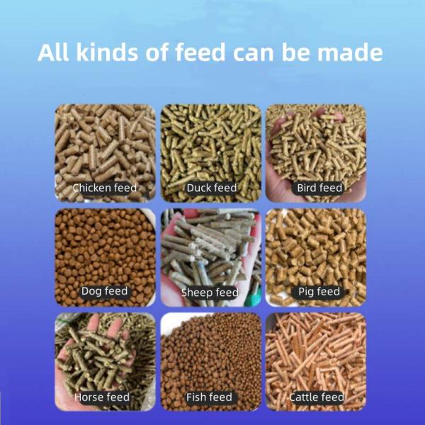 EWPM260B Feed Pellet Maker Feed Pellet Machine Color Customization