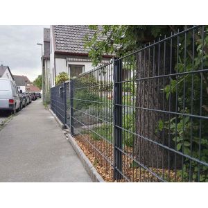 Ornamental 1m Height Double Loop Wire Fence Metal Welded Mesh Gardens 8/6/8mm