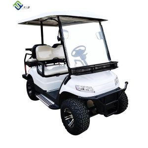 4x4 Utility Golf Cart 2 Seater 30mph Color Custom