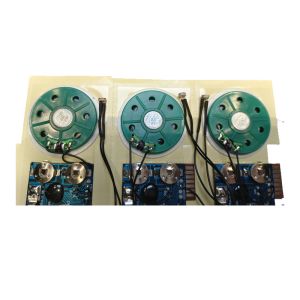 Light-Activated Sound Module for Customizable Gift Packaging