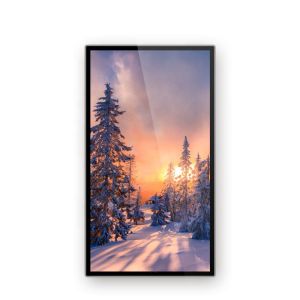 Advertising Player 3d Wall Mount Transparent LCD Display