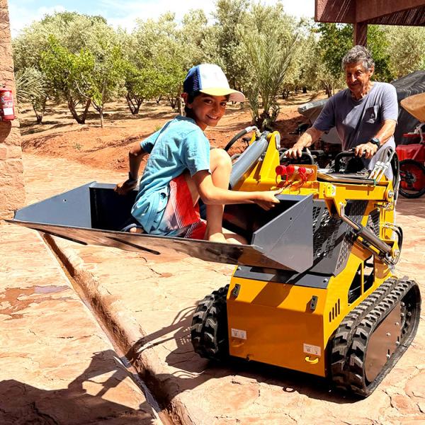 Factory Mini Skid Steer Loader EPA EURO 5 Mini Skid Steer Loaders Gasoline