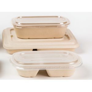 Takeaway Biodegradable Disposable Dinnerware / Sugarcane Pulp Containers