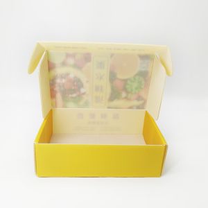 Anti Mold Plain Plastic Corrugated Foldable Boxes AI Customized